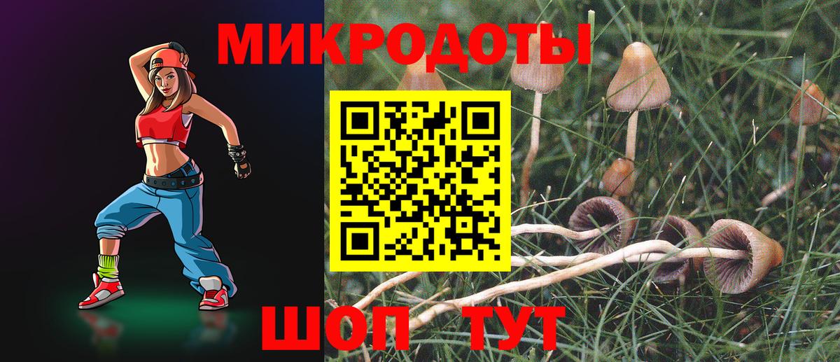 Галлюциногенные грибы ЛСД Заволжье