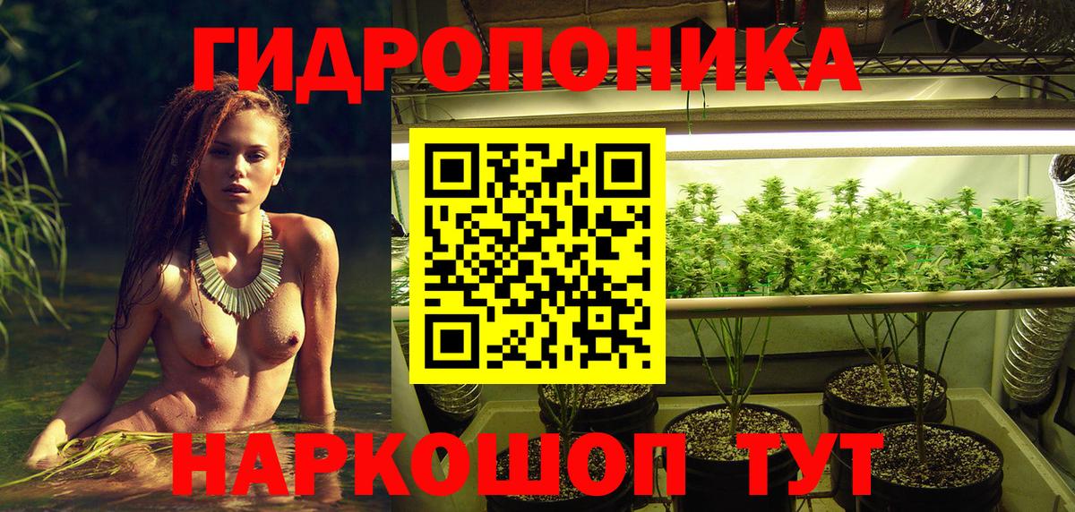 Заволжье  Шишки марихуана сатива  Вход с VPN  Шишки марихуана AK-47 